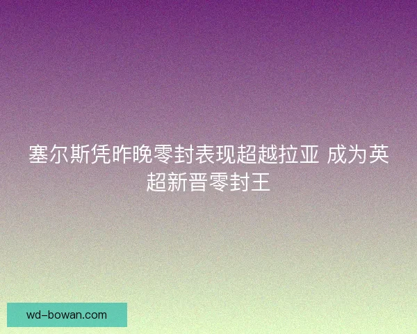塞尔斯凭昨晚零封表现超越拉亚 成为英超新晋零封王